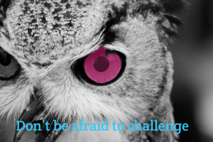 Eye-Owl-(Dont be afraid to challenge) B&W-Schind